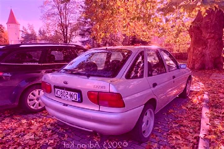 escort Ninove