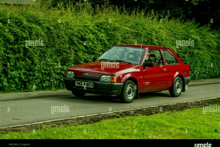 escort NirDavid