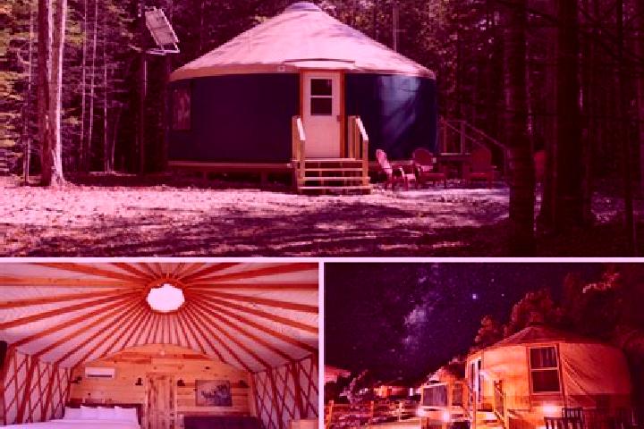 escort Nogamerzin-Yurt