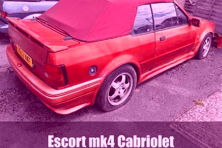 escort Non Sang