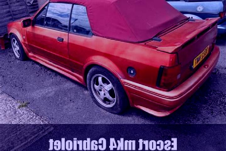 escort Non Sila