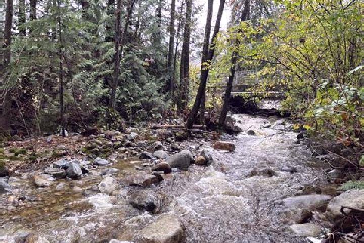 escort Noons Creek