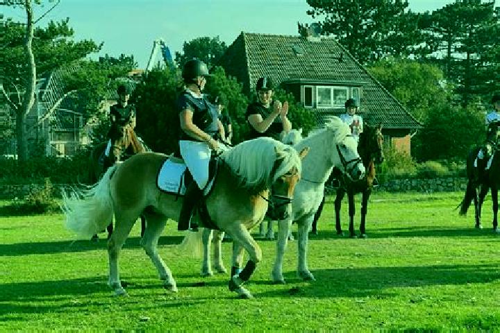 escort Norddorf