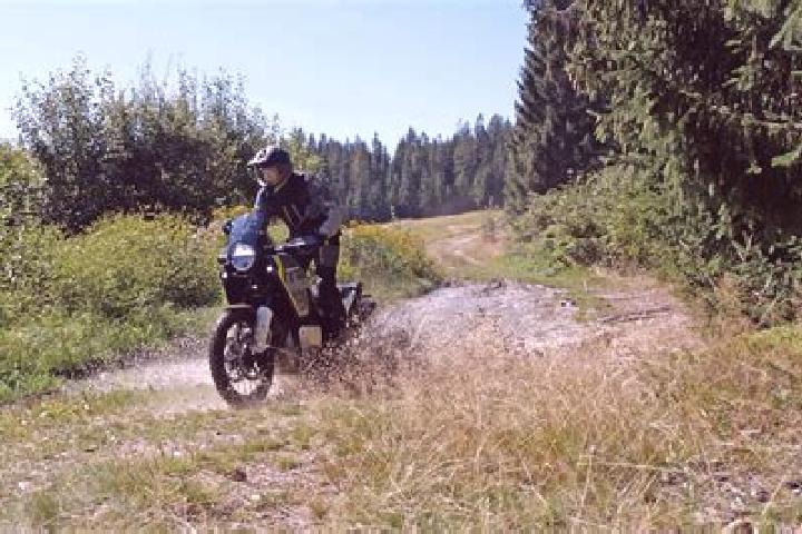 escort Norden