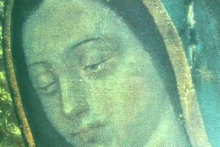 escort Norias de Guadalupe