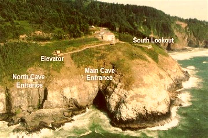 escort North Cave