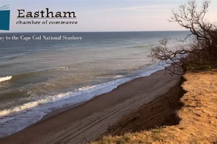 escort North Eastham