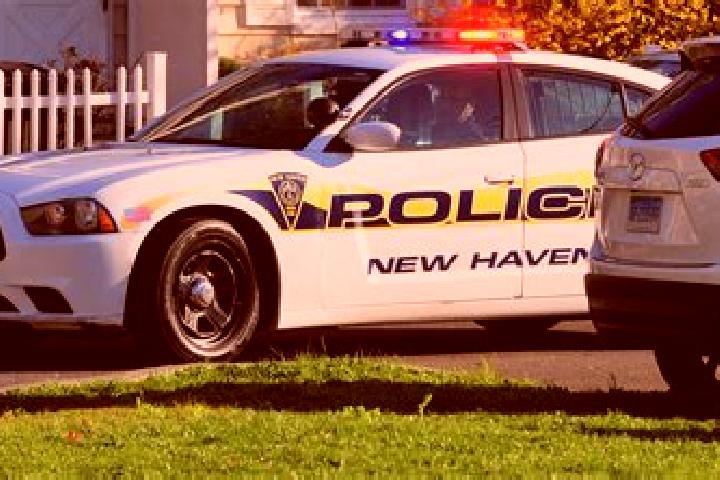 escort North Haven