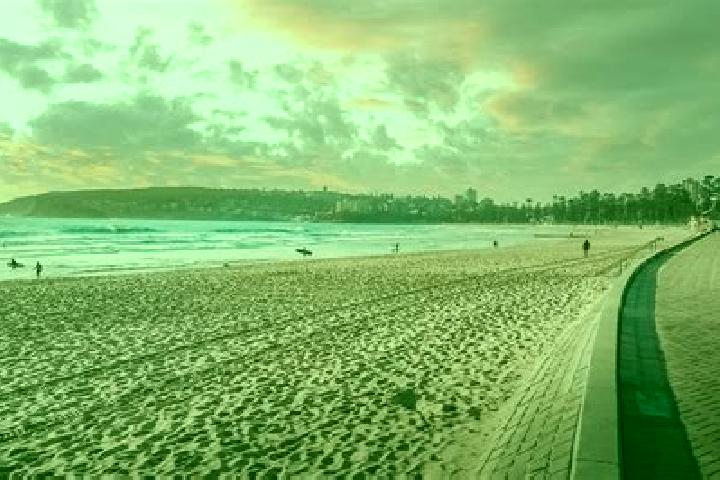 escort North Manly