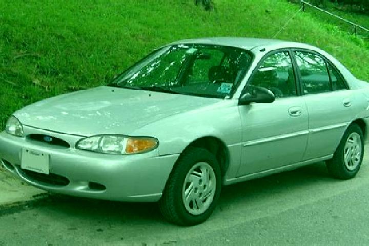 escort North Stamford