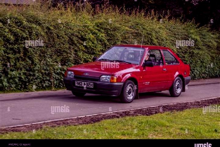 escort Nostorf