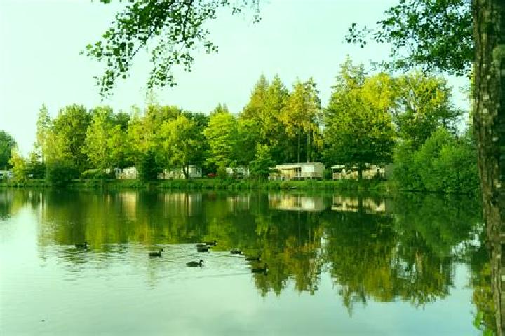 escort Nouan-le-Fuzelier