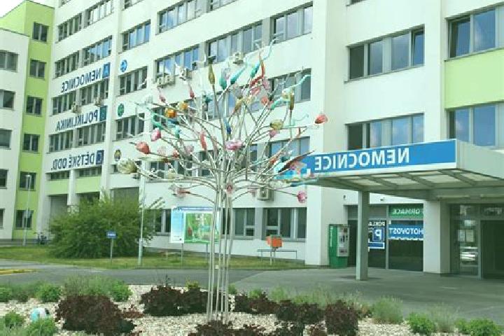 escort Nove Davydkovo