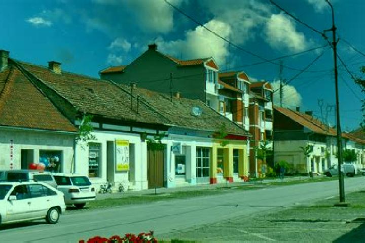 escort Novi Becej