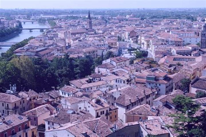 escort Novi di Modena