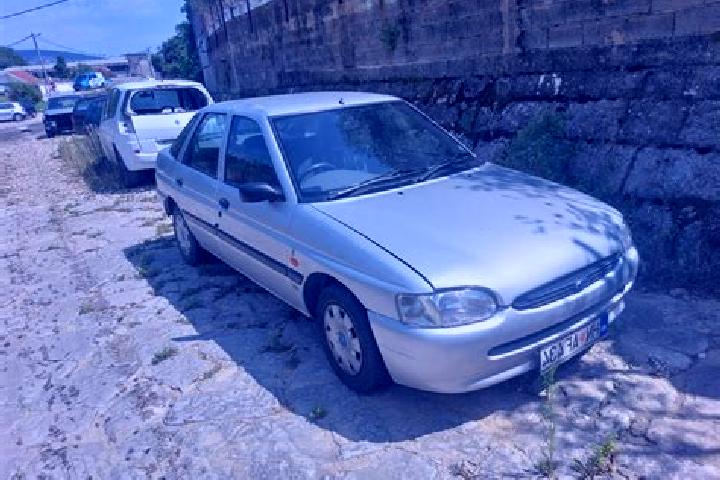 escort Novi Drachyntsi