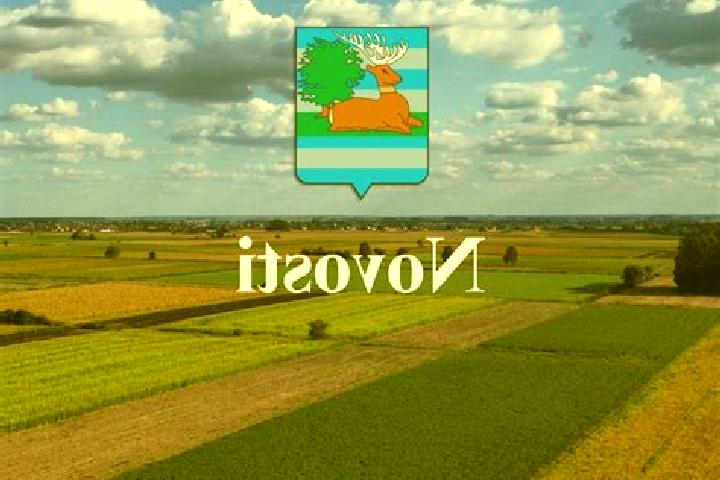 escort Novi Jankovci