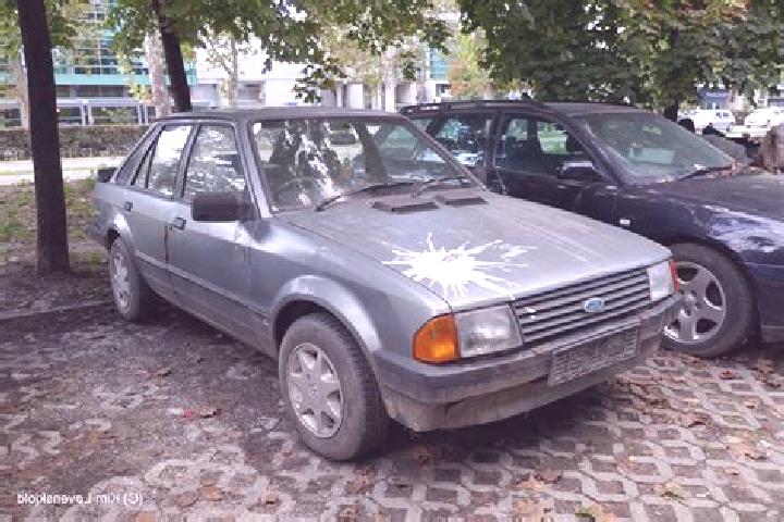 escort Novi