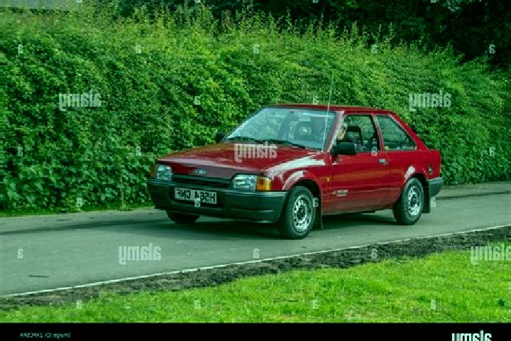escort Novoshakhtinskiy