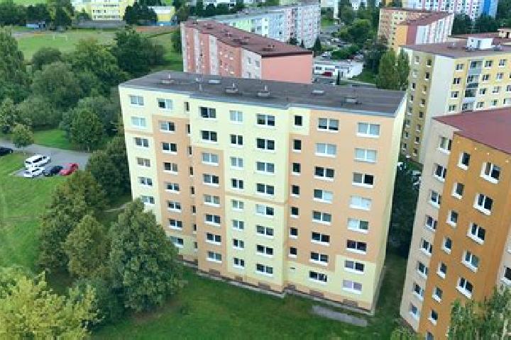 escort Novy Oldrichov
