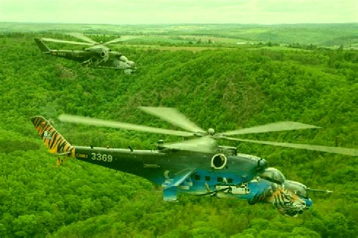 escort Novyi Kalyniv