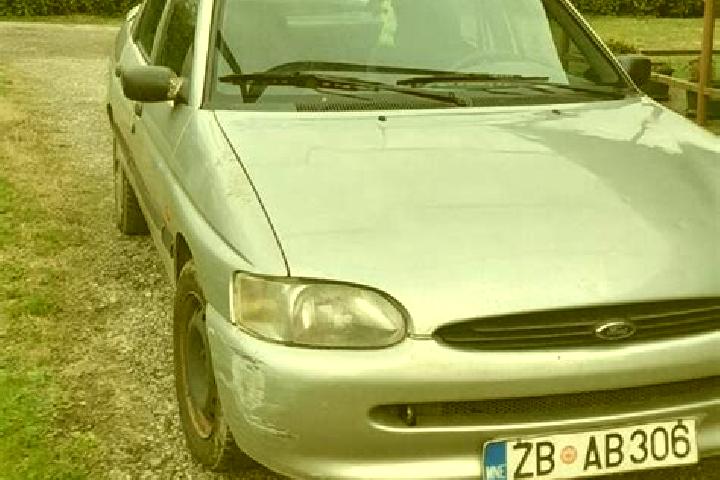 escort Nowa Gora