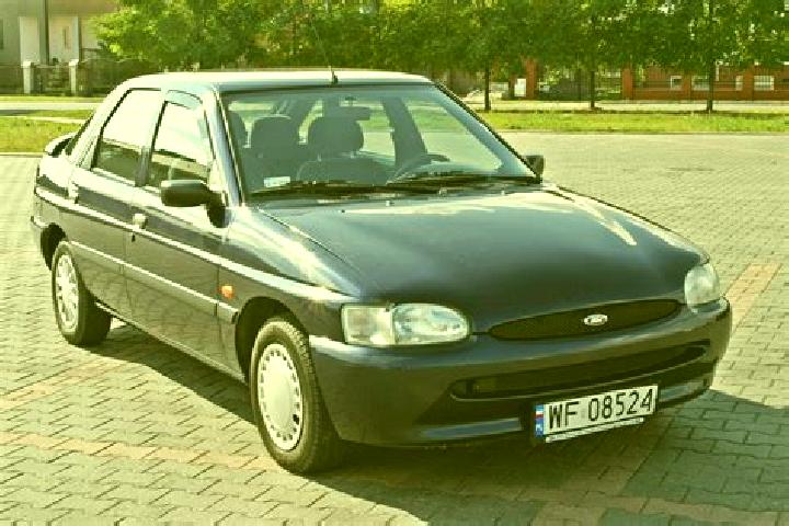escort Nowy Korczyn