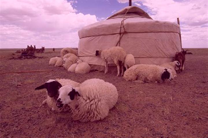 escort Nozhay-Yurt