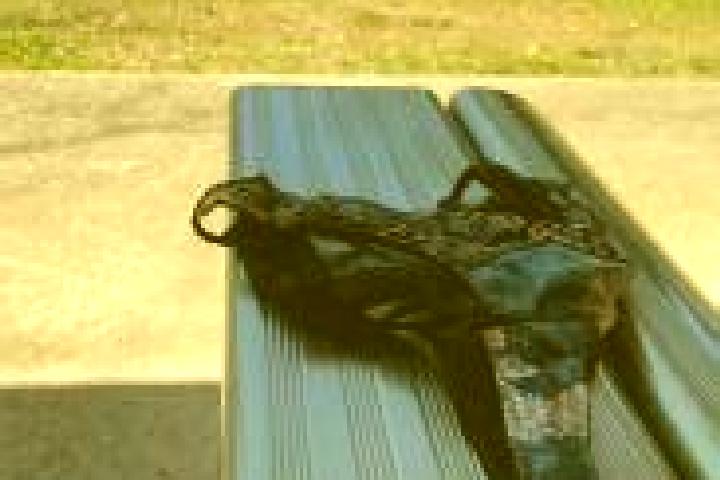 escort Nundah