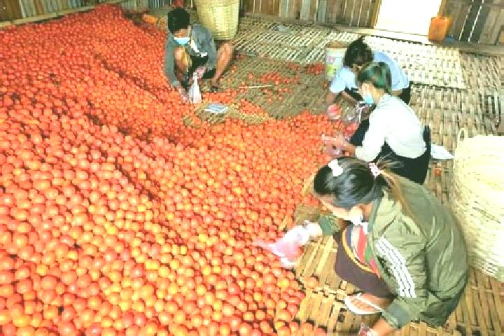 escort Nyaungshwe