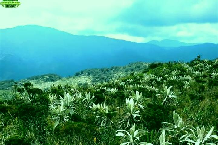 escort O Paramo
