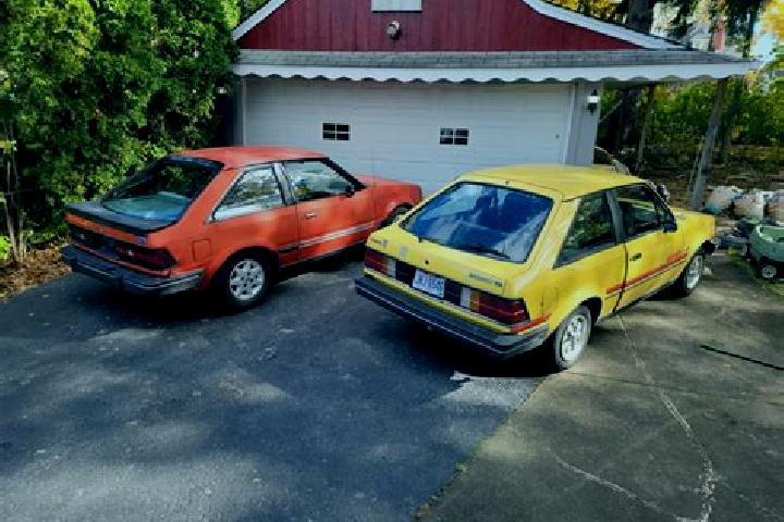 escort Oak Bay