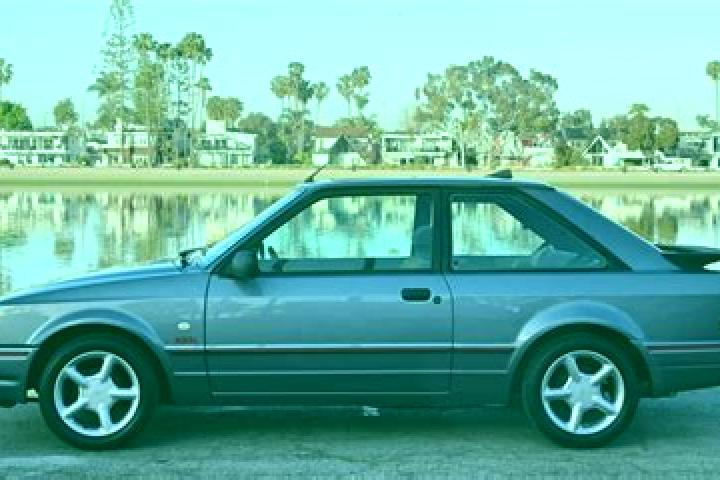 escort Oakey
