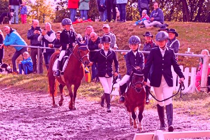 escort Oberlungwitz