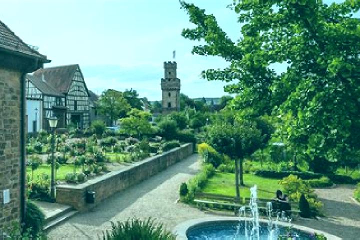 escort Obernburg am Main