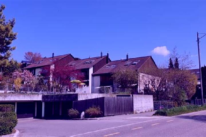escort Obfelden / Bickwil