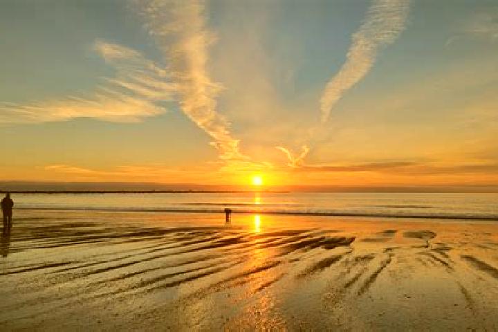 escort Ocean Shores