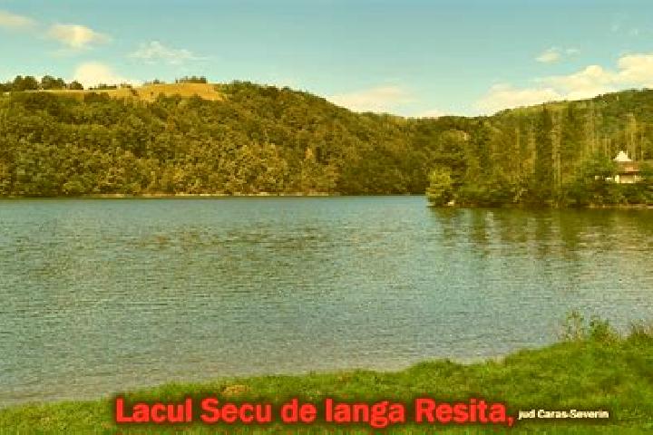 escort Ocna de Jos