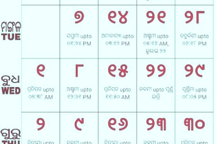 escort Odia