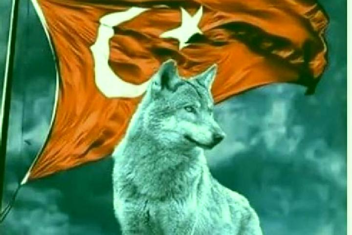 escort Oguzlar