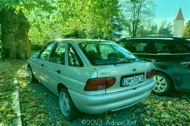 escort Oisseau