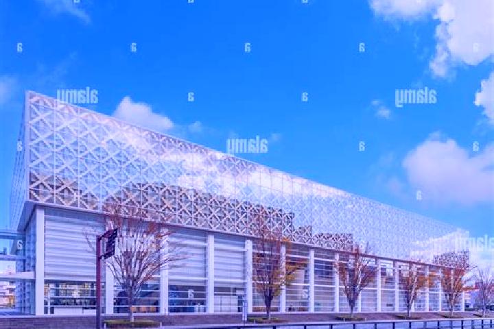 escort Oita