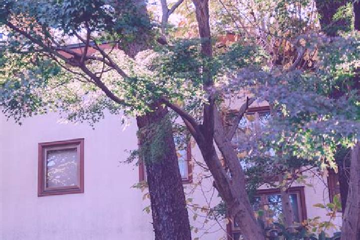 escort Oizumi-gakuencho