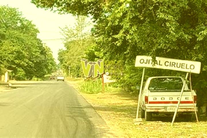 escort Ojital Ciruelo