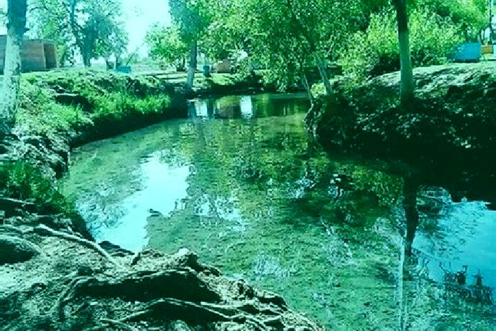 escort Ojo de Agua de Garcia