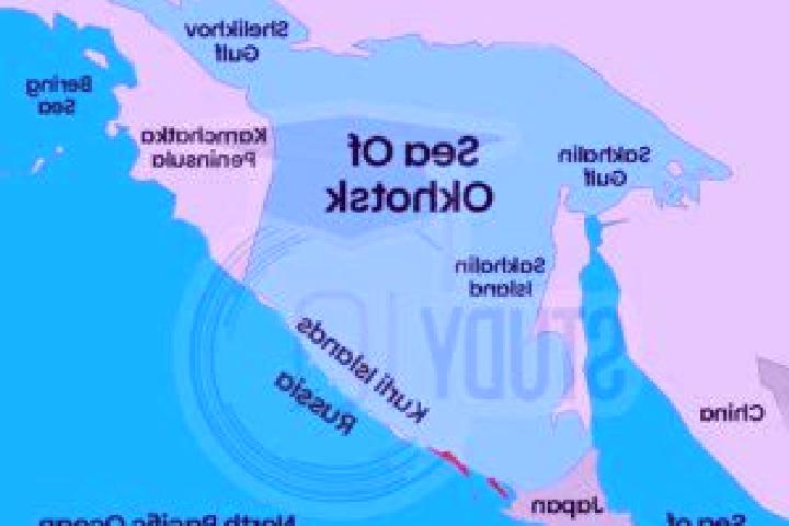 escort Okhotsk