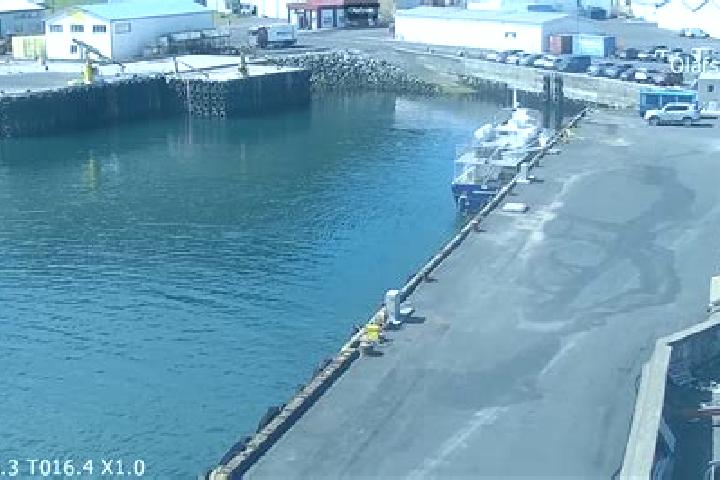 escort Olafsvik