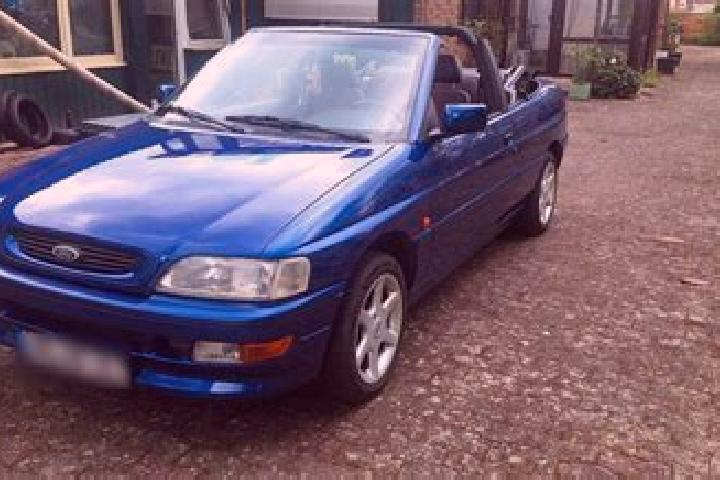escort Oldendorf