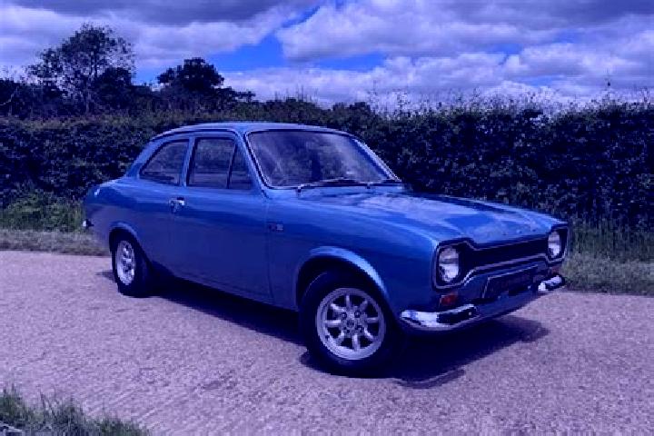 escort Oldsmar