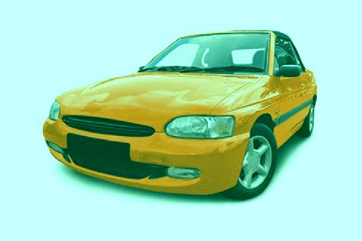 escort Oleo
